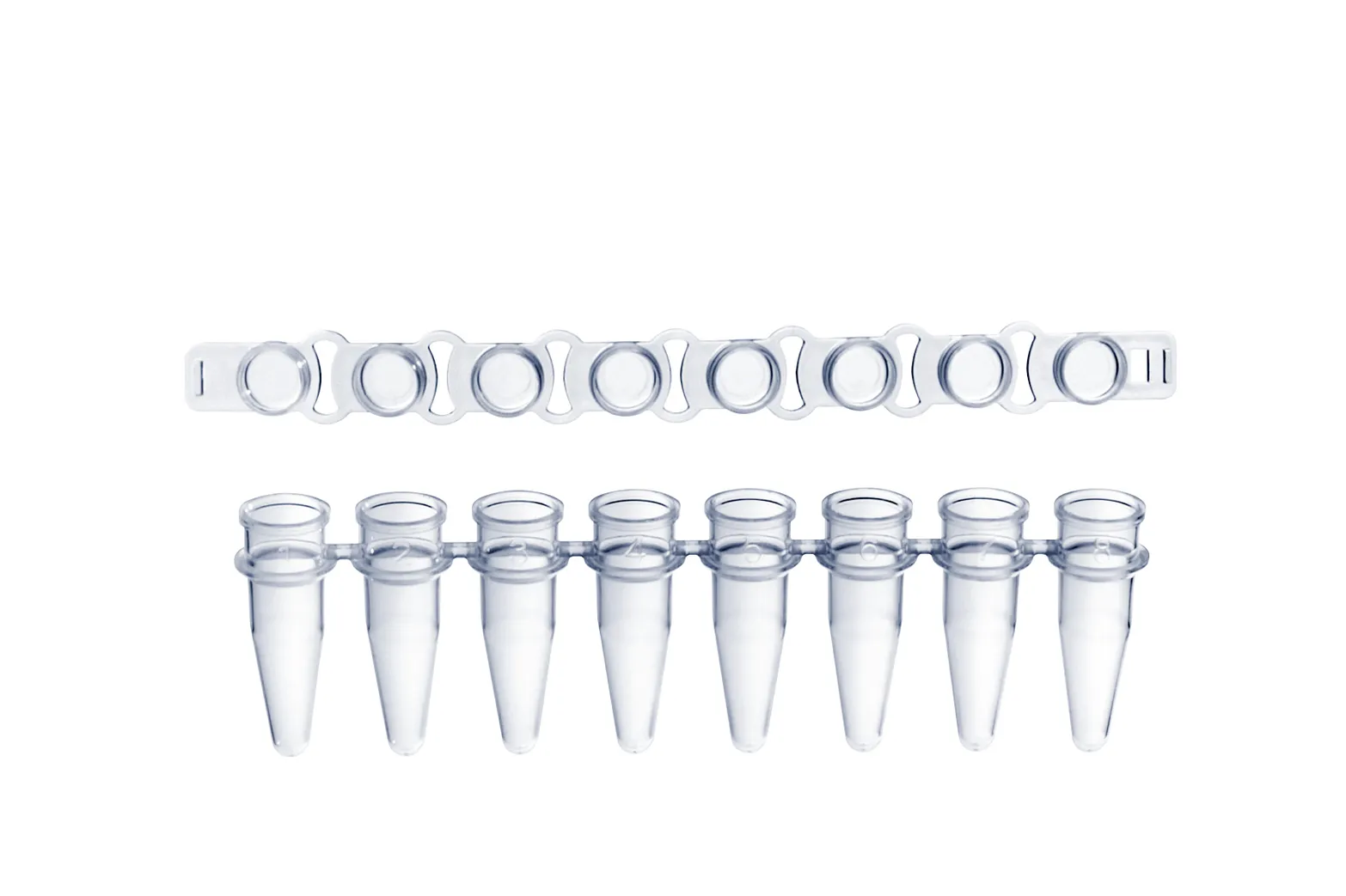 PCR 8-Strip Tube thumbnail 3