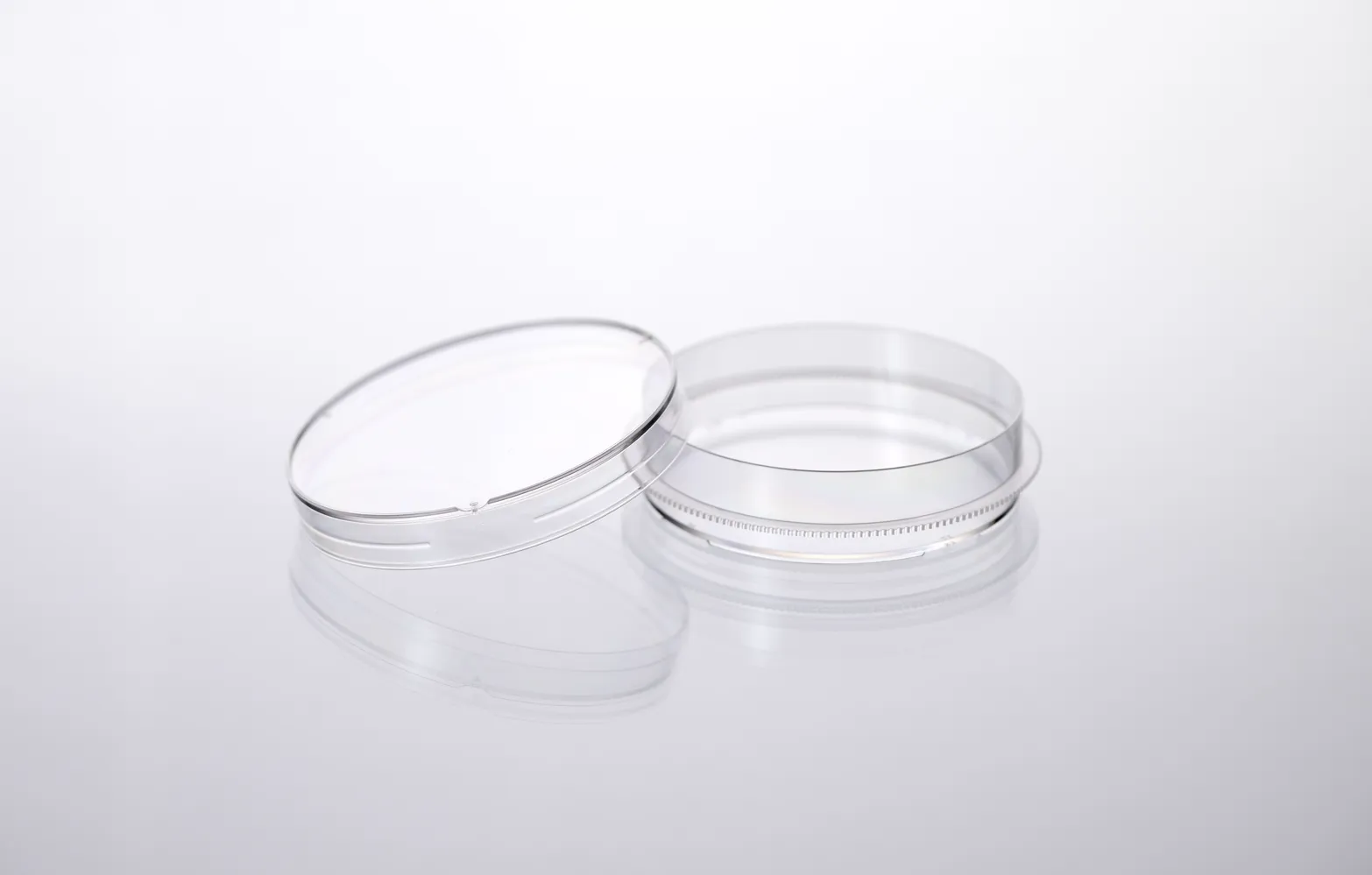 Cell Culture Dish thumbnail 3