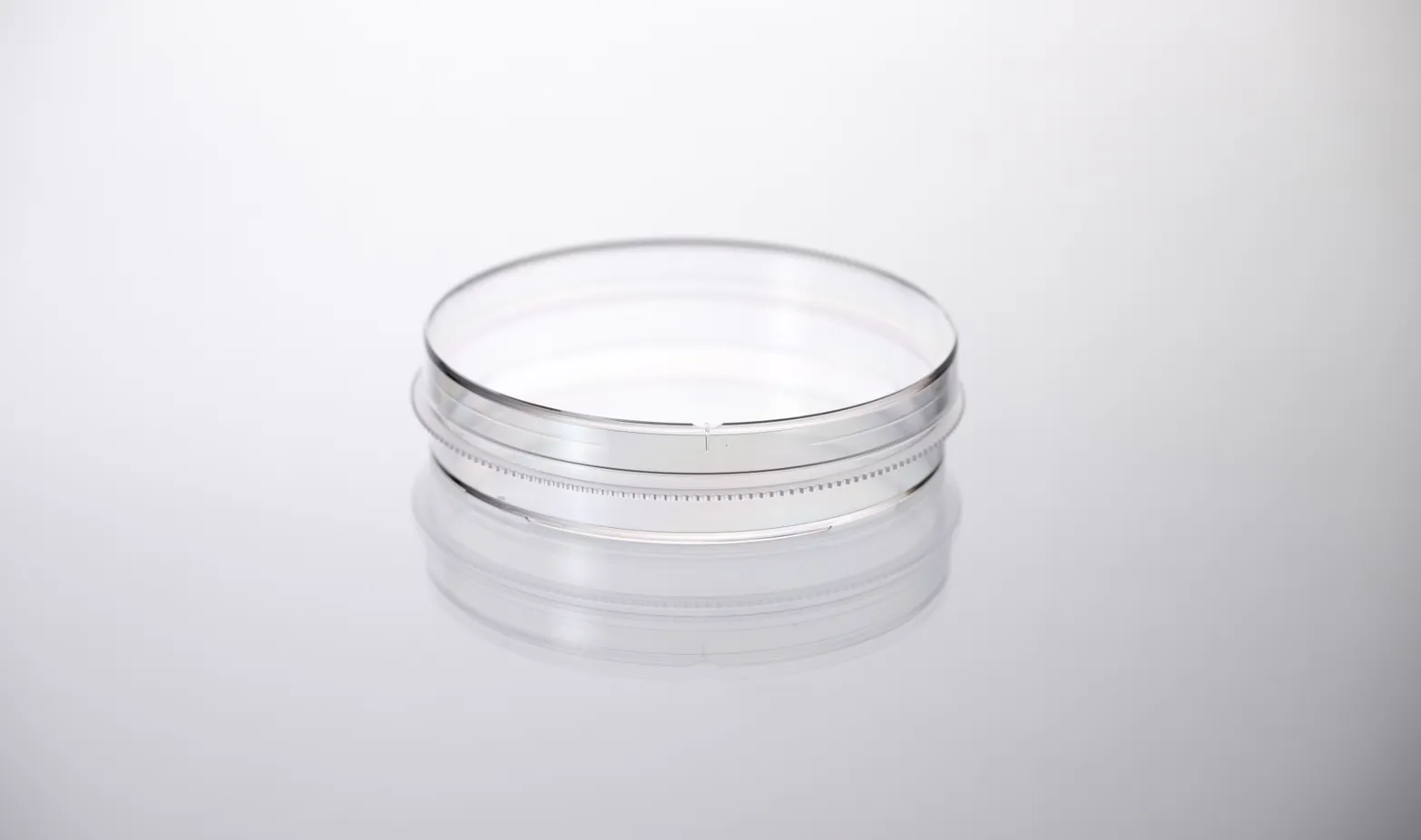 Cell Culture Dish