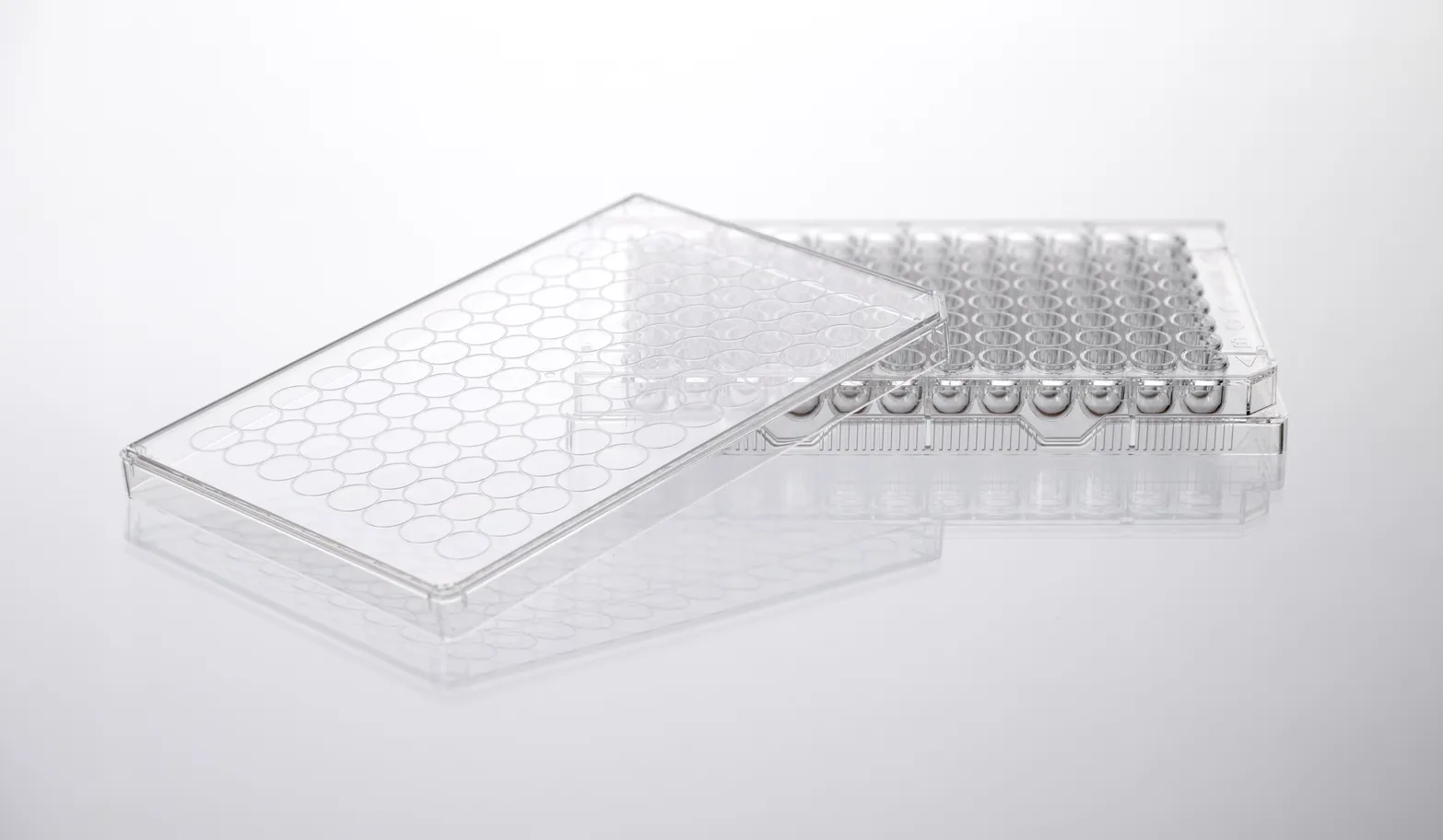 Cell Culture Plate thumbnail 6